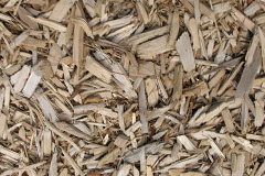 biomass boilers Colestocks
